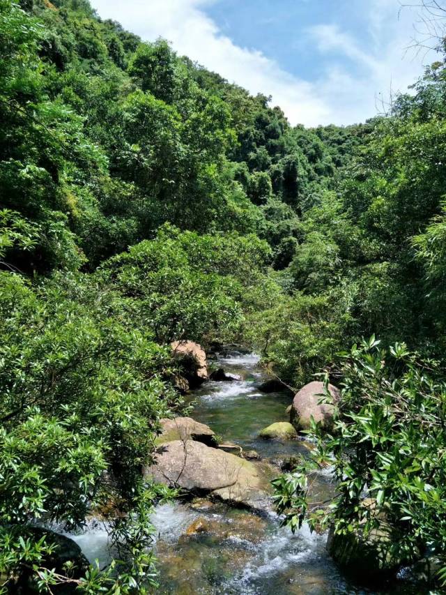 广西钦州有个八寨沟, 深藏十万大山秀美惊艳-旅游频道