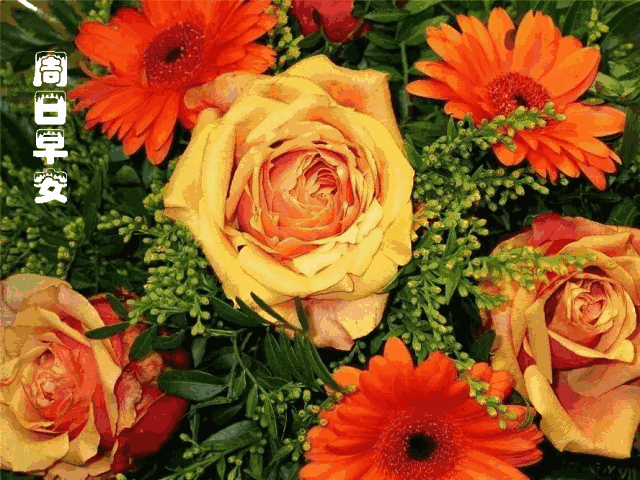 周日早上好,新的一天新的问候