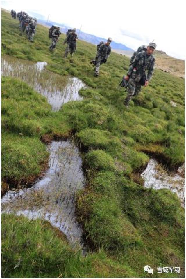 看西藏军人跋山涉水,越过高原雪域沼泽