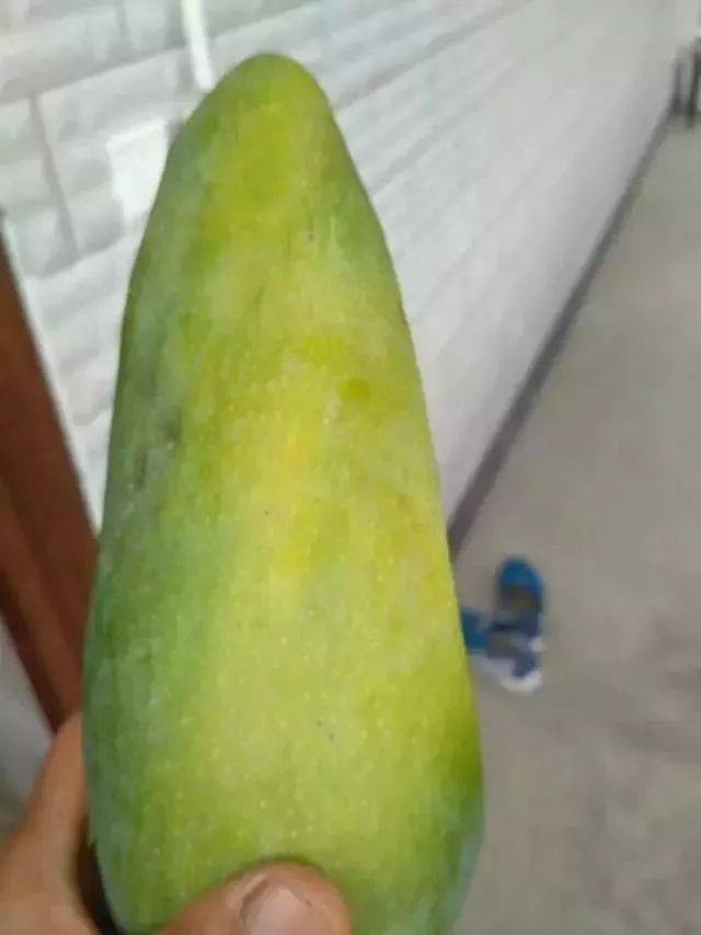 好好的芒果,切开全烂了!原因竟然是它!(必看)