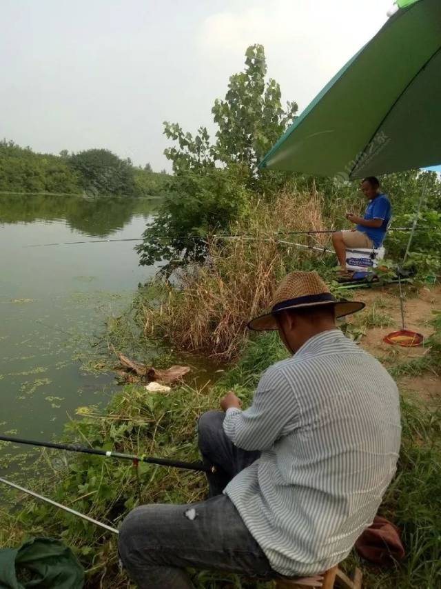钓鱼人就是经不住诱惑,别看别人你也一样!-搞笑频道