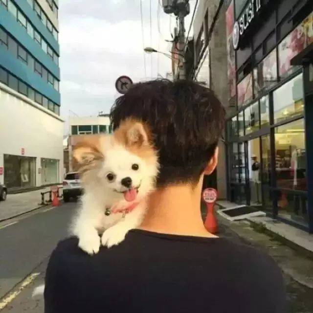 不露脸背影头像