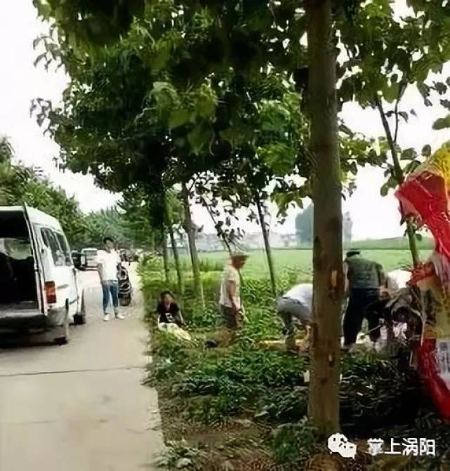 涡阳青疃镇发生一起交通事故,事发原因在调查中