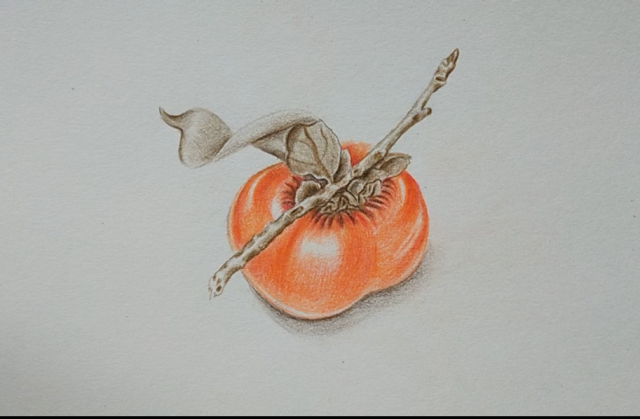彩铅画柿子,叠色有技巧,适合零基础的小伙伴学习的教程