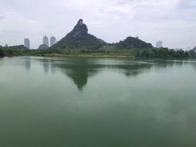 走进桂林市新建成的最大公园:临桂新区中央公园