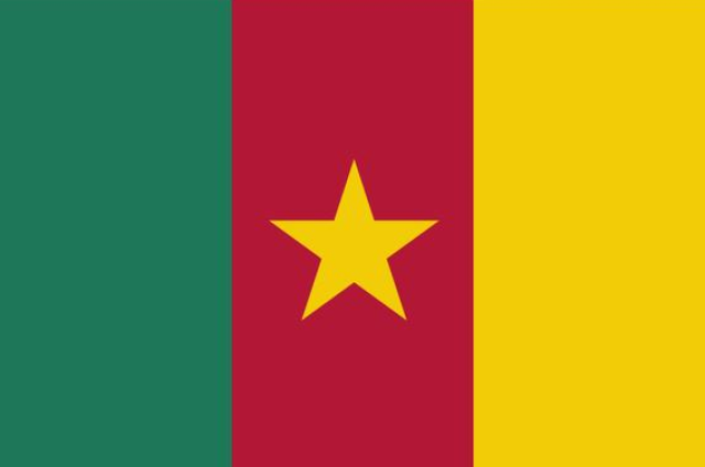 非洲国家喀麦隆国旗