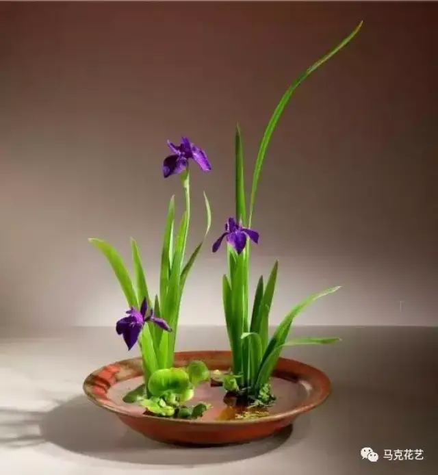 你不能错过的中式插花好去处
