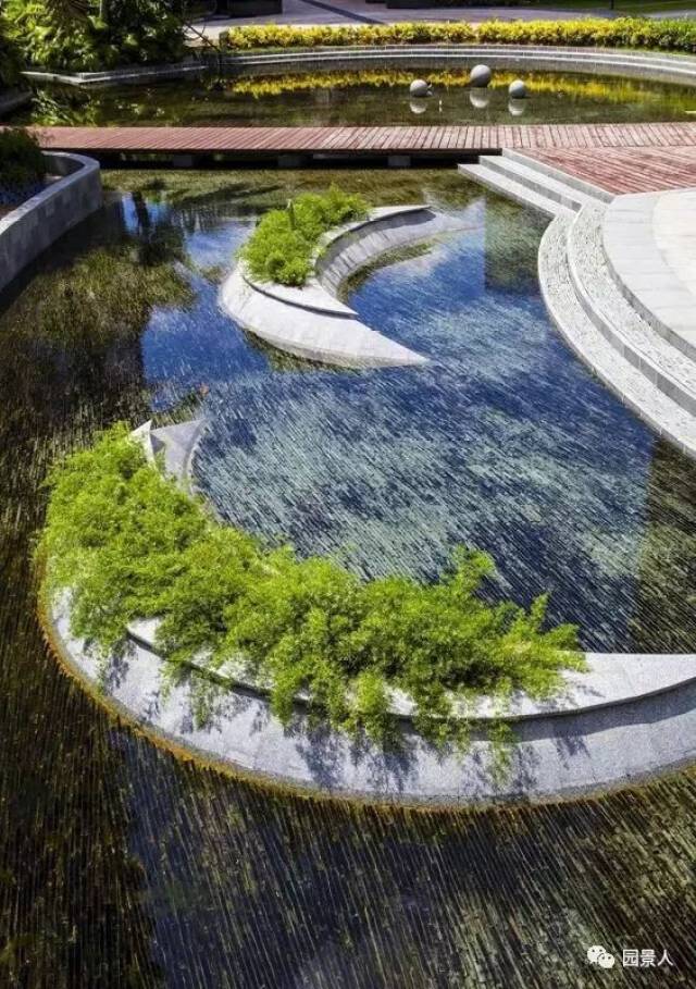树池· 水