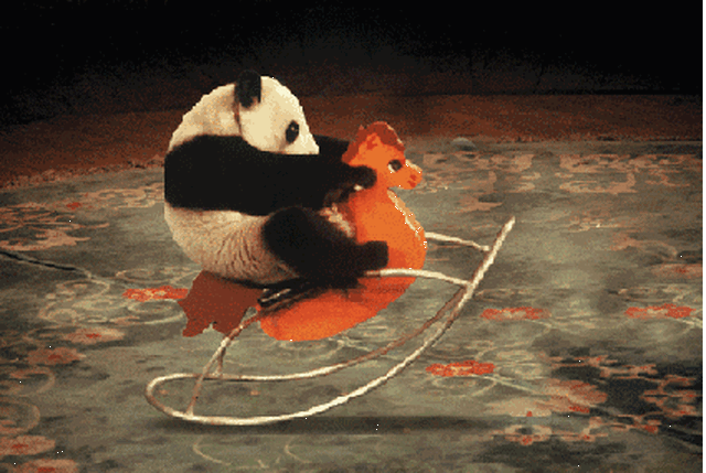 两只熊猫