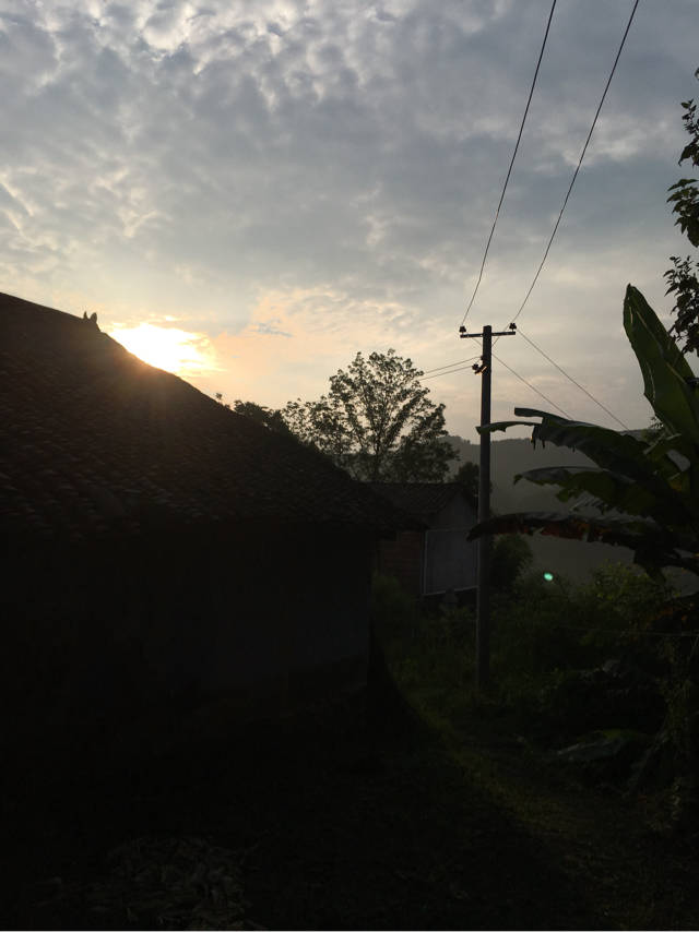 【农村的清晨,不禁让人反思】雨后的农村清晨,阳光洒向大地