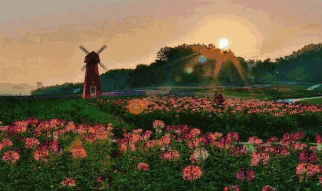 【萤河之约】毕升大峡谷漂流,四季花海萤火虫之夜二日游