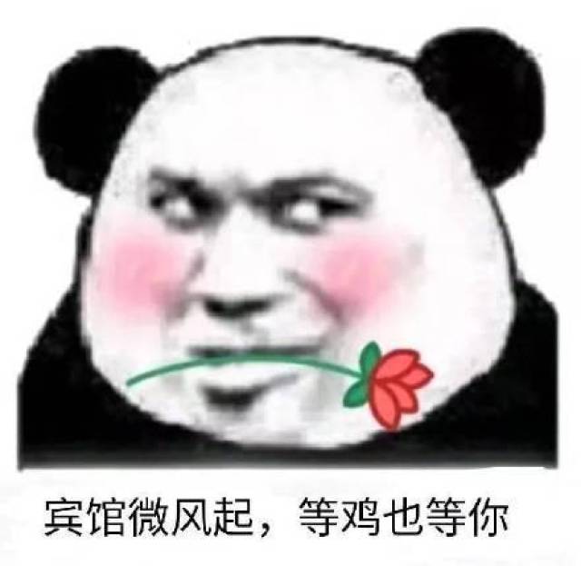 斗图表情包:不管你多漂亮多有钱,我都是你无法得到的男人