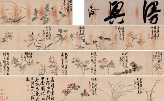 花卉 手卷 纸本设色 1542年 陈淳不愧为大写意花鸟画嬗变的实际开启