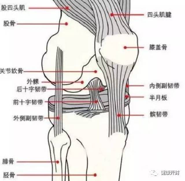 久坐后起身,膝盖嘎嘣一声响,这是病吗?