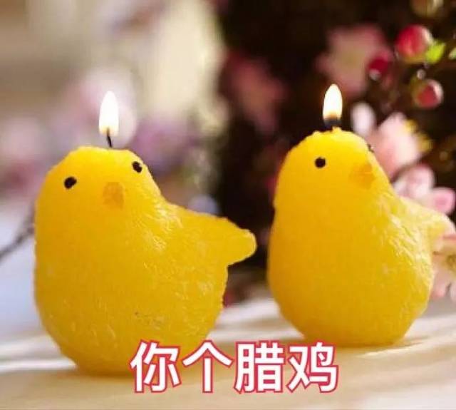 斗图日常:你忙你忙,我打游戏