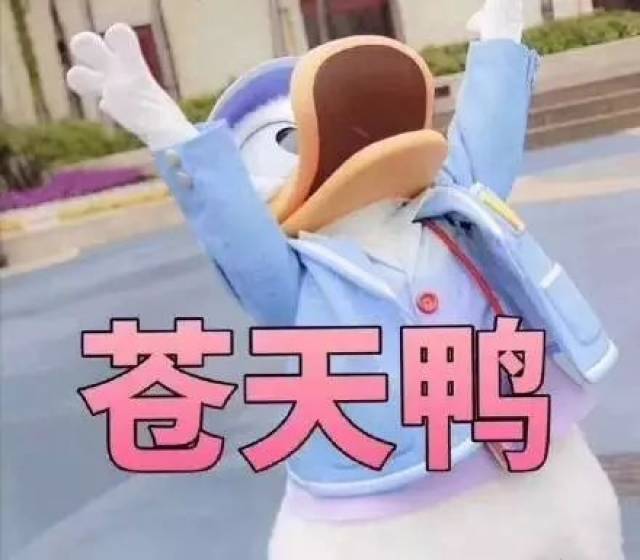 全都处于亚健康状态 身体硬件开始提前劳损 心态也是在压力崩溃边缘