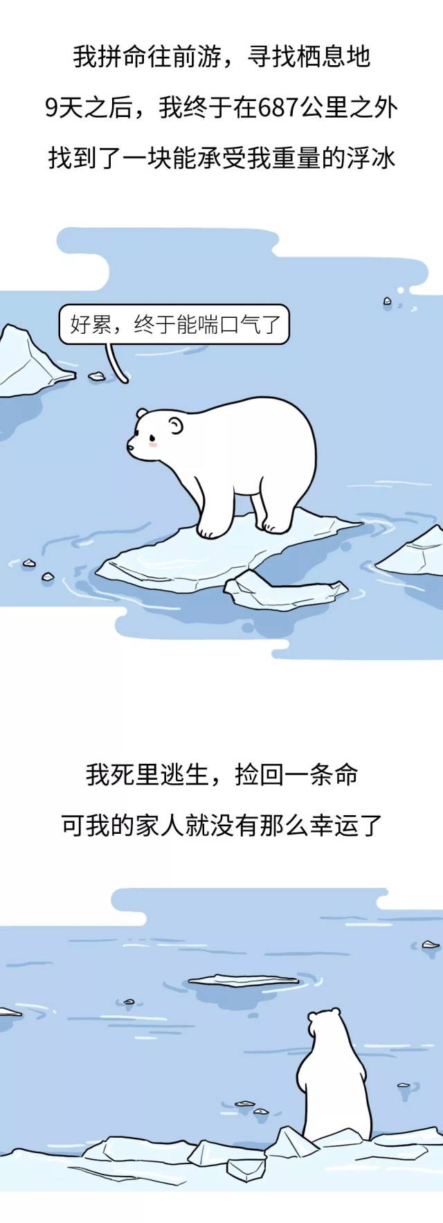 32℃高温下,是谁杀死了那只北极熊?