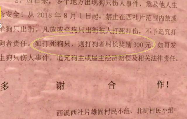 广东佛山多个村委会发布禁狗令，规定范围内不准遛狗，你赞成吗