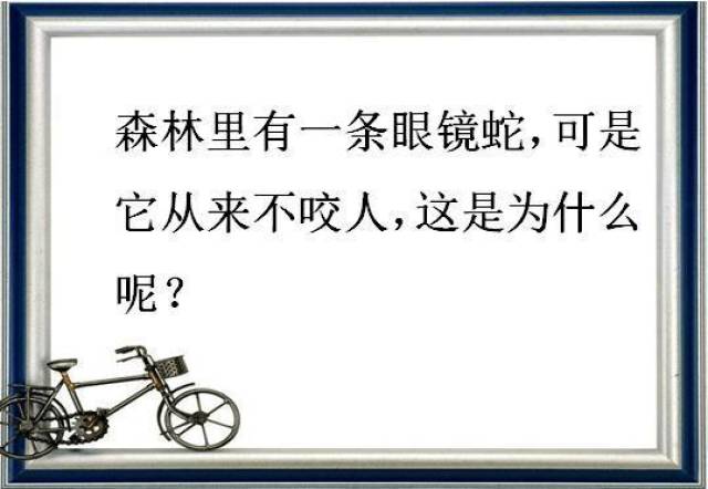 5f2b82b590144d35b4206c4eb8f2d33a.jpeg