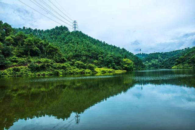 佛山高明玩水,摘水果去!