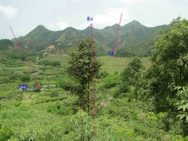 潮州风水名穴卧牛地,王君植大师亲临考察,从古至今富贵不迭