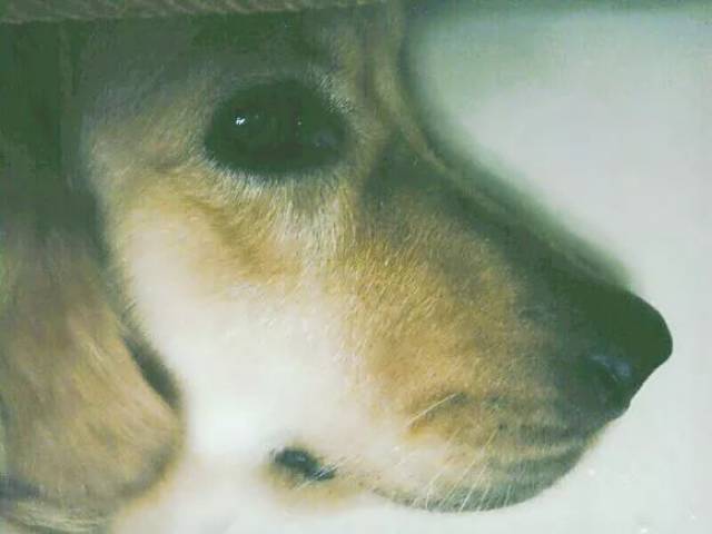 8efbde36da6f4e35b5853f25824fdaa7.jpeg