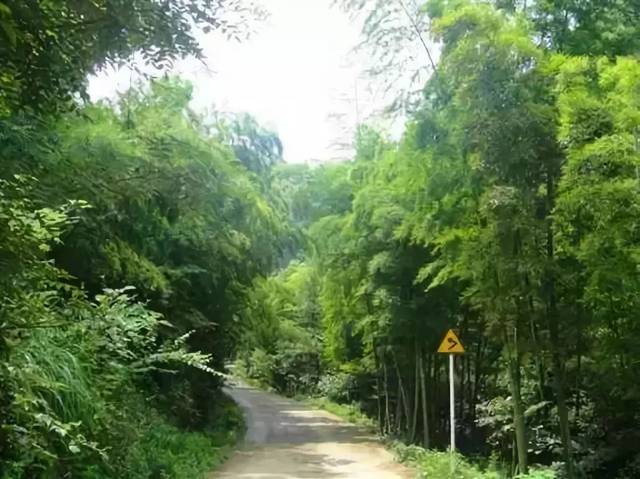 地址:长沙宁乡市夏铎铺镇香山冲村 09.