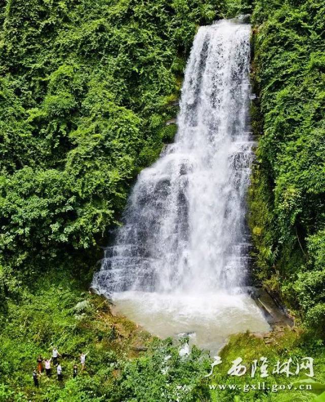 金钟山自然保护区发现50米落差的大瀑布!具有旅游开发