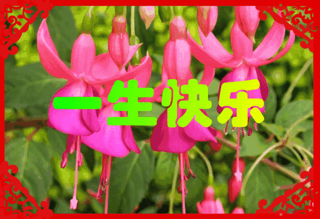 周一早上好,早晨收到祝福会快乐一整天哦!