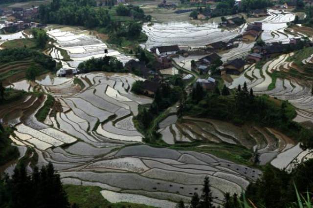 中国最佳消夏避暑旅游名县,负氧离子含量最高的县,广西桂东县