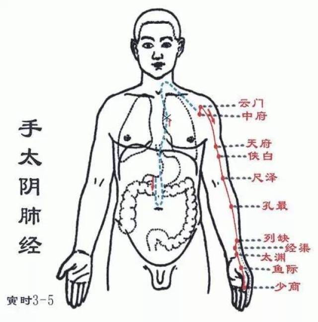 《实用知识》纯干货:十二经络大全!