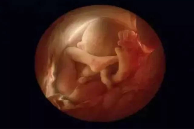 子宫紧紧包裹着胎儿,狭窄的空间让宝宝的胎动慢慢降低.