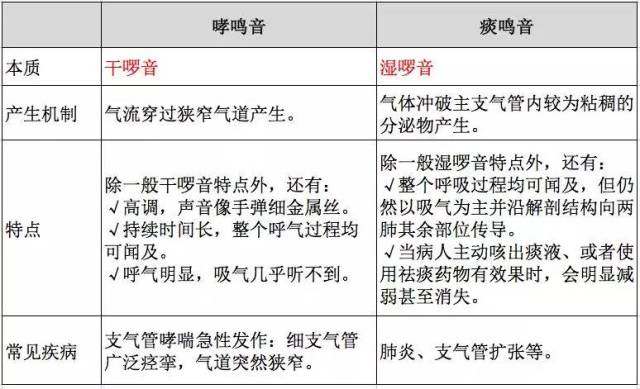 2. 哮鸣音 vs 痰鸣音