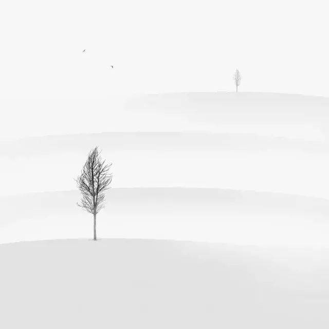 e48bf66226cc4f68a18a7b7a01341e4d.jpeg