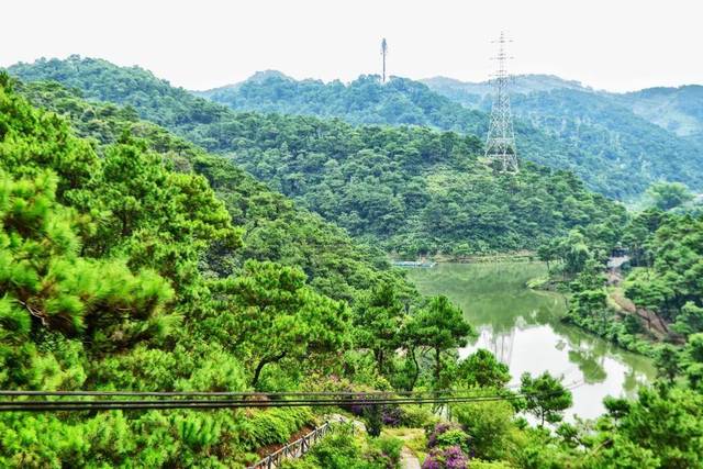 佛山高明玩水,摘水果去!