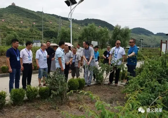 食品有限责任公司,苗老藤生物养生有限公司,吉帮昌盛金银花种植基地