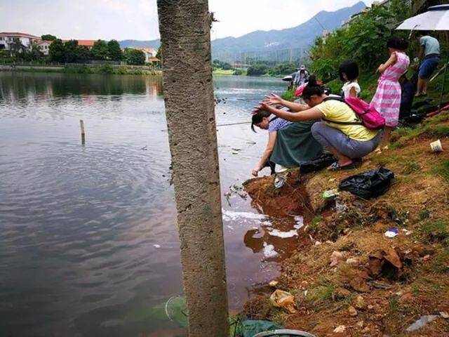 钓鱼囧事大百科 之 愿者上钩-搞笑频道-手机搜狐