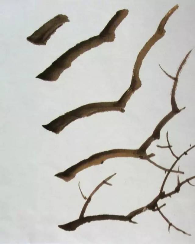 国画牡丹叶子和枝干的画法,简单易学!