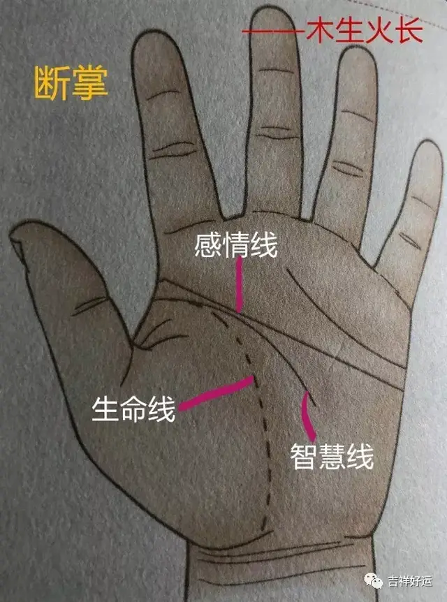 断掌是好还是不好?(原创)