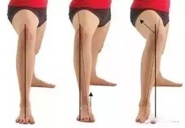 正常健康的膝盖有四种移动方式:伸展,弯曲,内旋,外旋.
