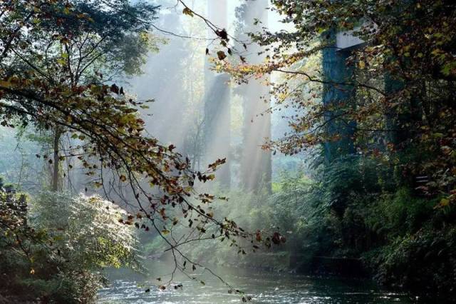 空山新雨后,天气晚来秋. 明月松间照,清泉石上流.