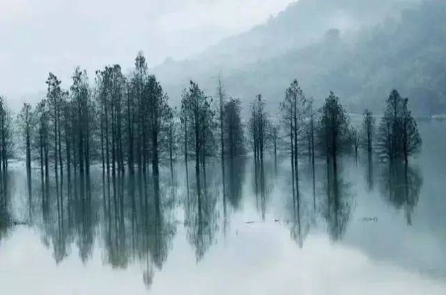 纯音乐《离骚》| 空灵清扬,悠远绵长