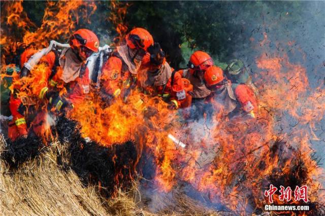 甘肃森林武警"三伏天"实战灭火救援演练