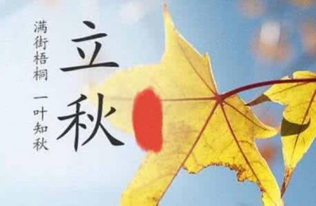 立秋表情包图片:满街梧桐,一叶知秋-搞笑频道-手机搜狐