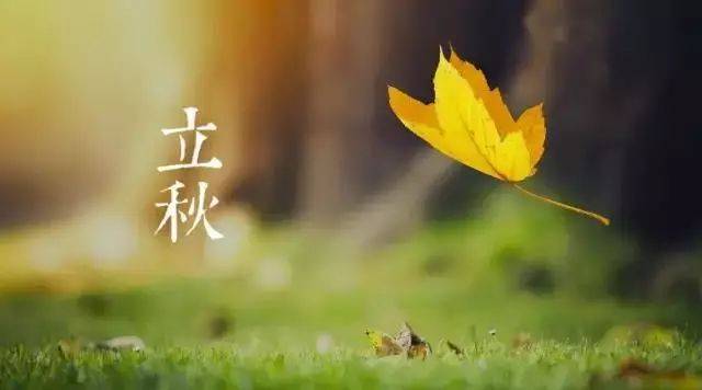 今日立秋!关于立秋的这些事,你知道吗?| 涨姿势