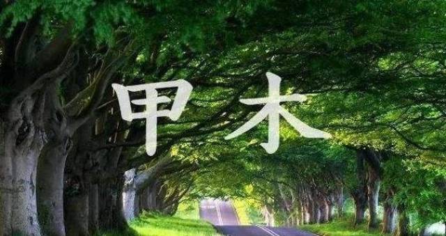 八字精华日干甲乙木取用神