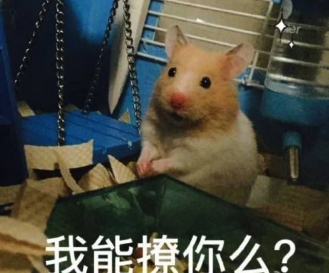 李健的温文尔雅都是表象?但他的可可爱爱一定是真的