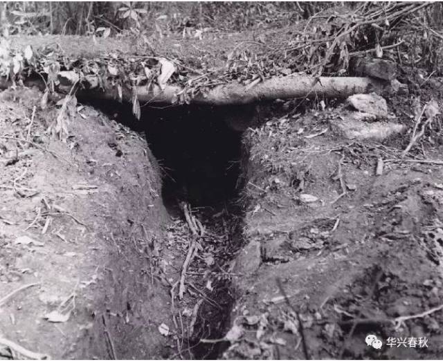 缅北滇西战役:即使日本到处打洞挖战壕,中美盟军还是成功反攻