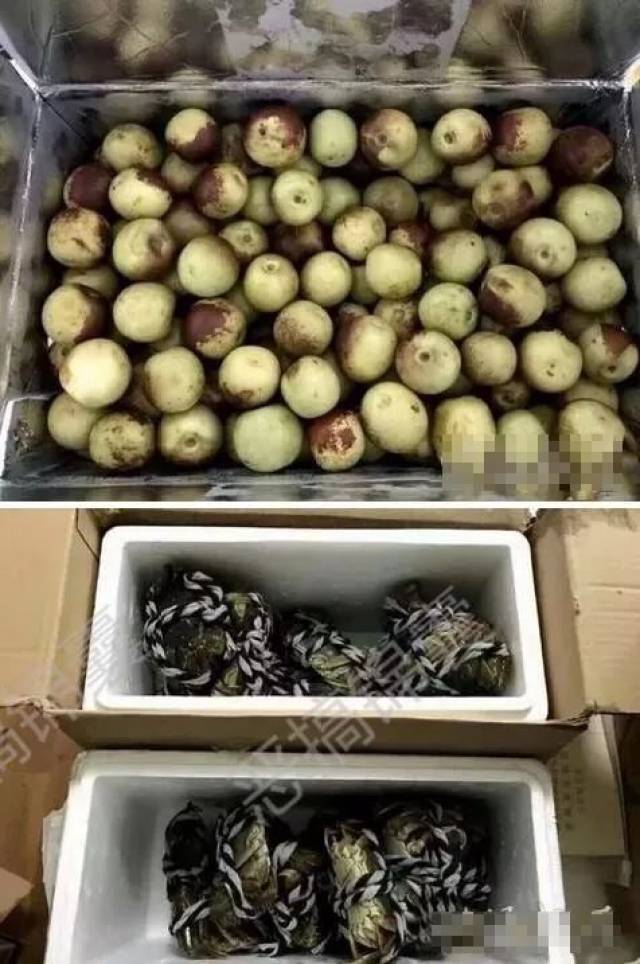 搞笑图片段子:这么漂亮的妹纸,怎么到垃圾桶里吃饭呢