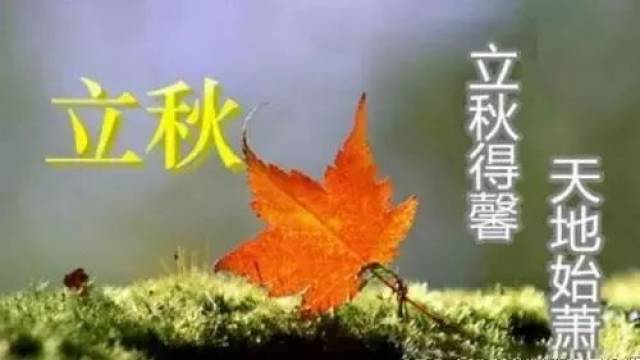 2018最新立秋微信问候祝福语大全 立秋图片